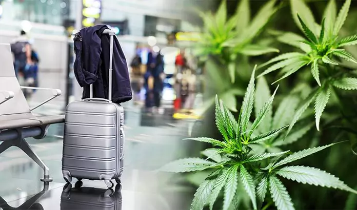 Pros and cons of taking a cannabis vacation