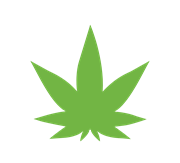 Best Cannabis Resources in Denver, CO